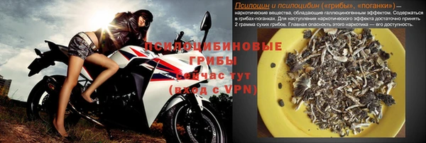 гидра Дмитровск