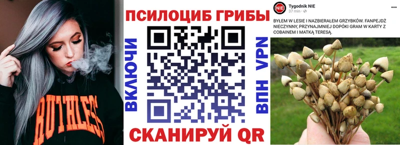 Галлюциногенные грибы мицелий Щёлково